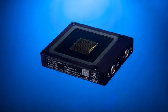 图片 WPVS Reference Cells